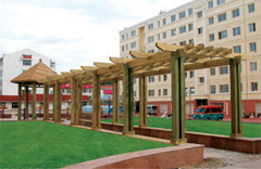 �ȼܷ���ľ��Ԕ����B