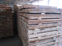 ľ�бP��Ԕ��(x��)��B