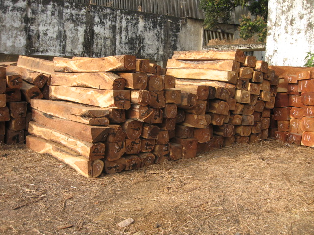 ���޻����Ԕ����B