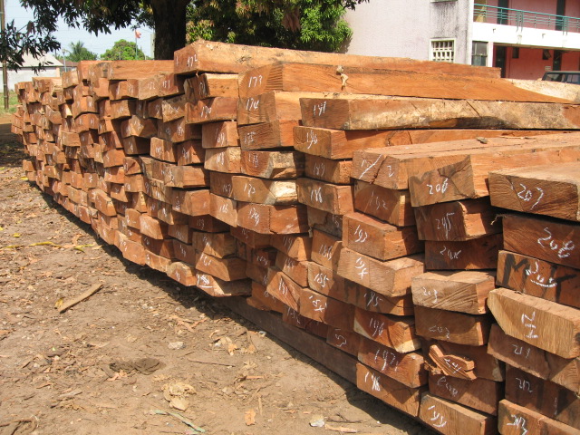 ����ľ��Ԕ����B