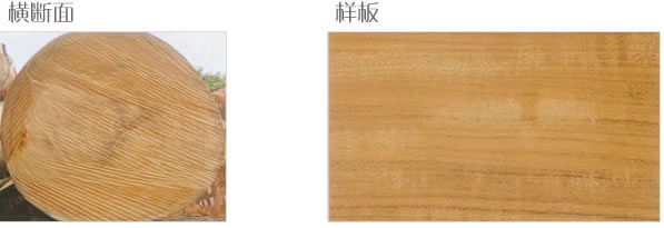 ������ľ��Ԕ��(x��)��B