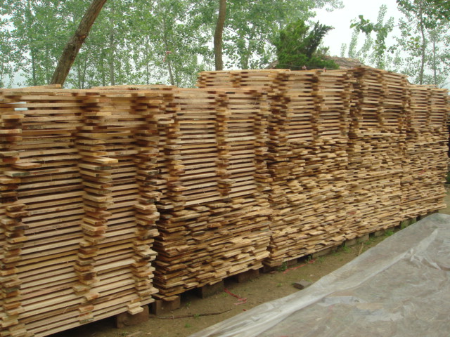 ��ľ��ĵ�Ԕ��(x��)��B