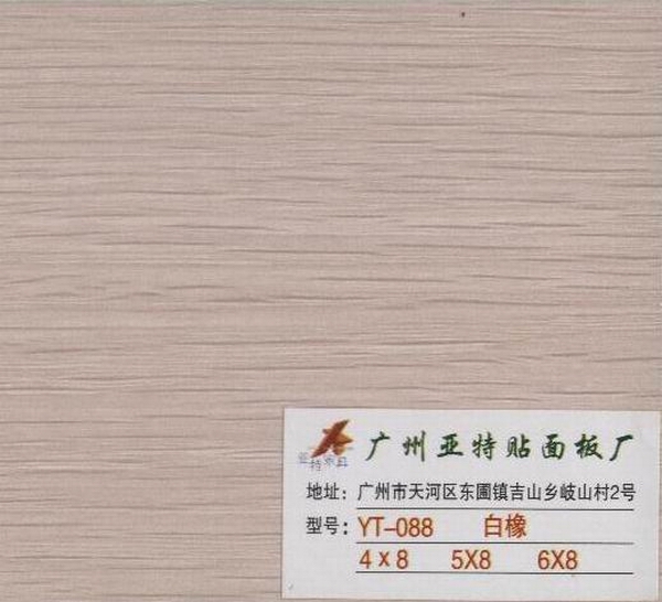 ��ľ��Ԕ��(x��)��B