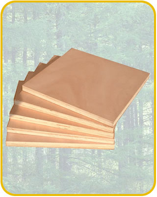 �W������ľ�����Ԕ����B