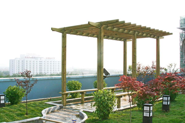 ����ľ��Ԕ��(x��)��B