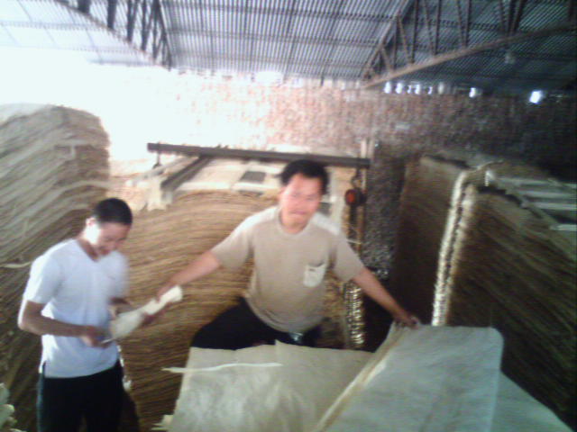 ��ľ��Ƥ��Ԕ��(x��)��B