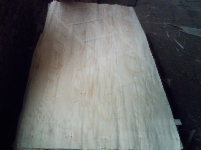 ������Ƥ��Ԕ��(x��)��B