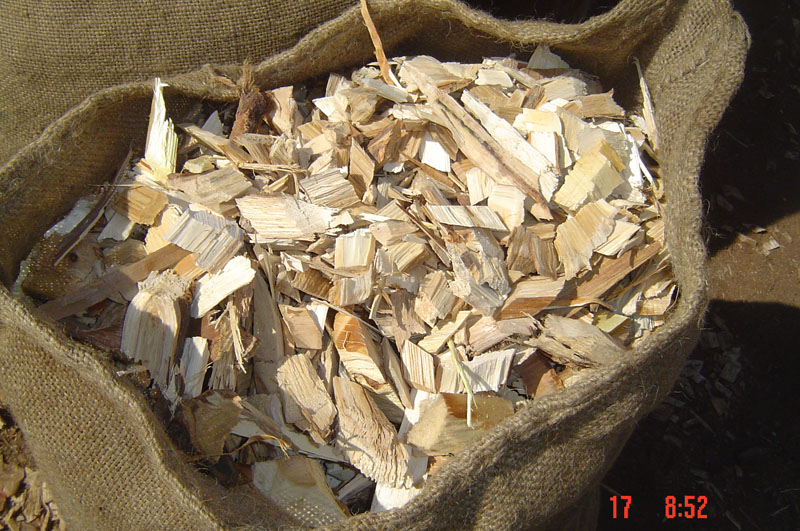 �����sľľƬ��Ԕ����B