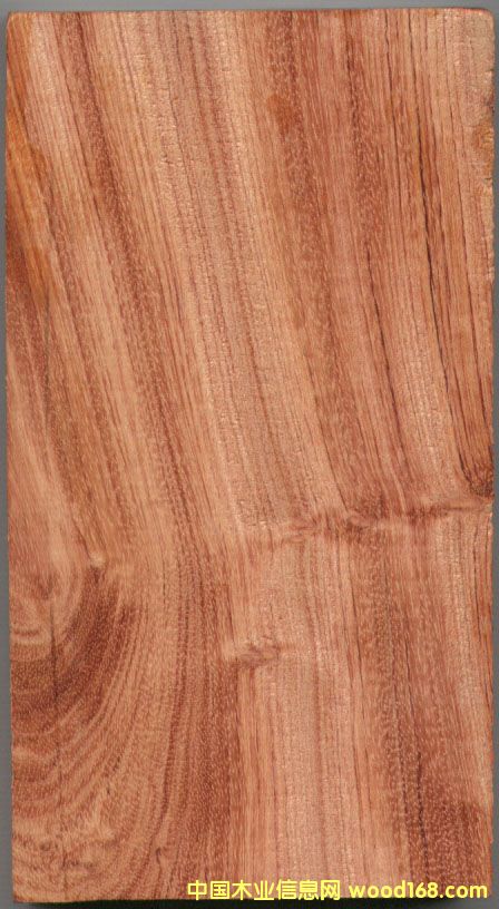 ���޻��滨��Ԕ��(x��)��B