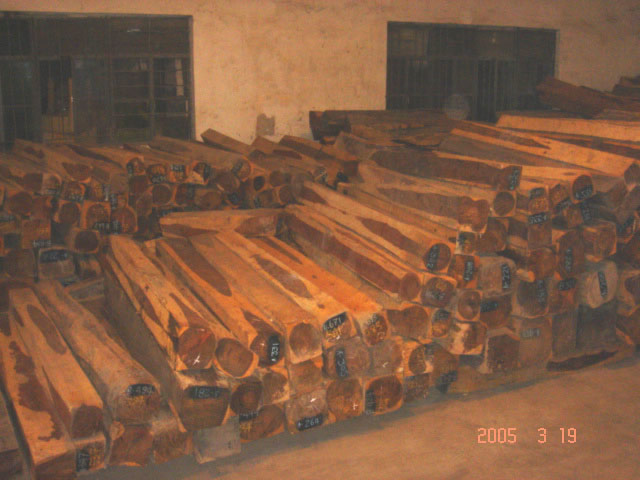 �ϓ��t��֦��Ԕ��(x��)��B