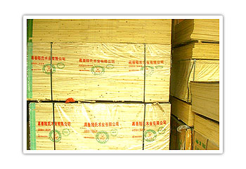 ��(x��)ľ����