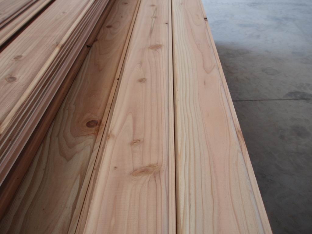 �ձ���ɼ���ɰ�