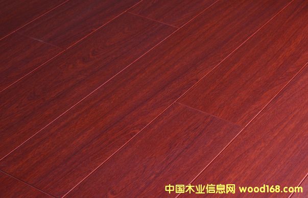 ��֬ľ����Ԕ��(x��)��B