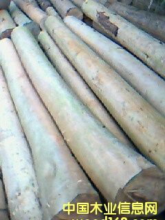 ��(y��u)�|��ɼ��Ԕ����B