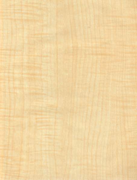 �M(j��n)�ڗ�Ӱ����