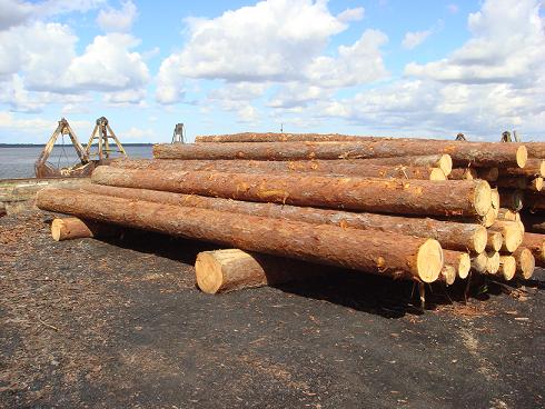 ���~��ԭľ��Ԕ��(x��)��B