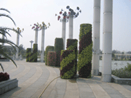 ���w���������w������Ԕ��(x��)��B