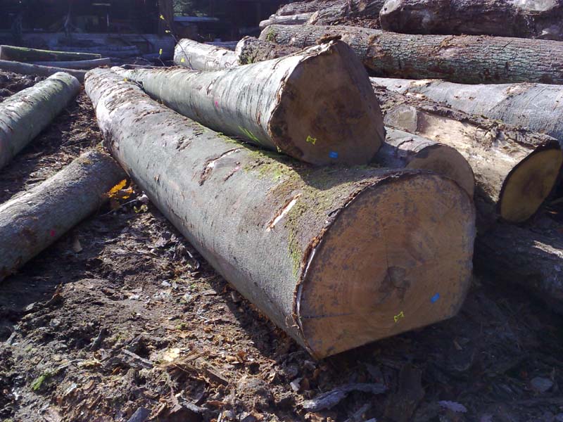 �W�ޙ�ľB/C��(j��)ԭľ��Ԕ��(x��)��B