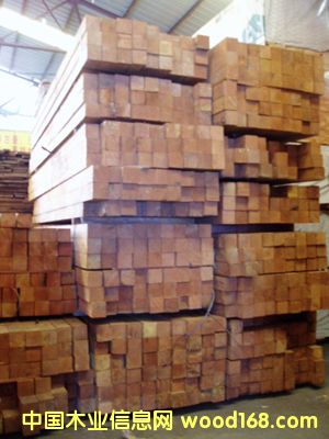 �����M(j��n)�ڰͻ�ľ����Ԕ��(x��)��B