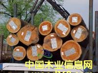 ��ľ��Ԕ����B