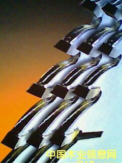 �M(j��n)���Ƭ��Ԕ��(x��)��B