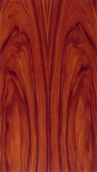 ������֦��Ԕ��(x��)��B