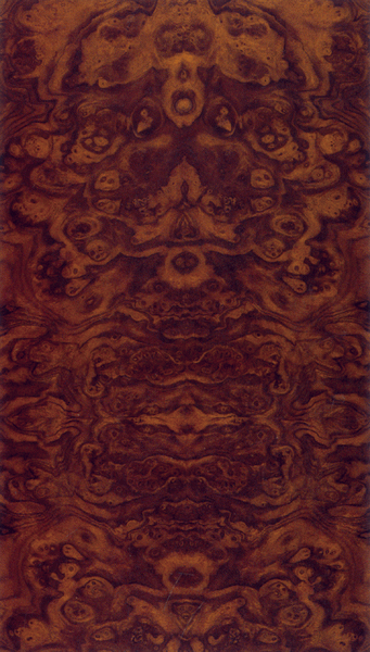 ����ľ������Ԕ��(x��)��B