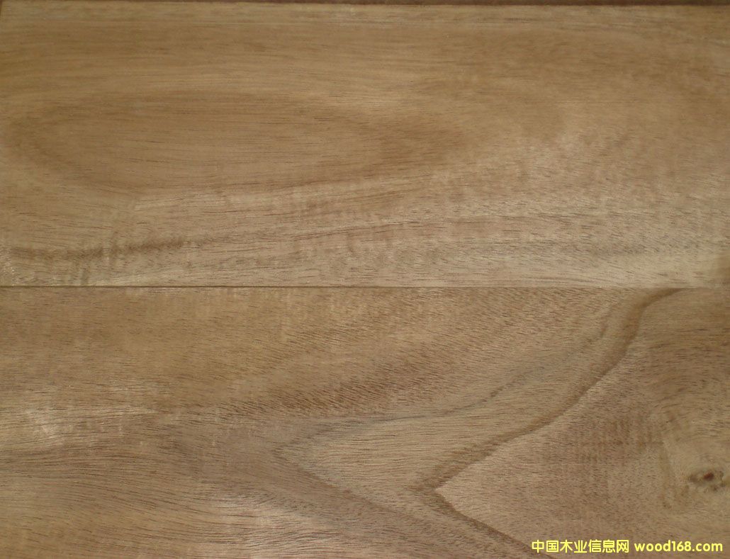 ��˼ľľ�����ذ��ϵ�Ԕ��(x��)��B