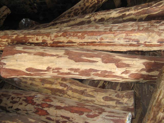 ���~��̴(С�~�t̴)��Ԕ����B