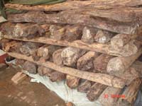 С�~��̴��Ԕ��(x��)��B