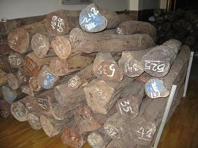 �t��֦��Ԕ��(x��)��B