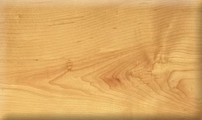 MAPLE��Ԕ����B