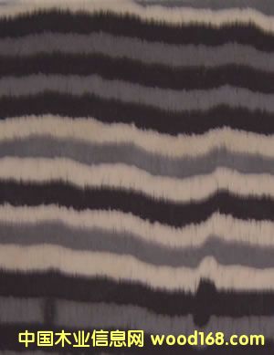 ˮ���y��Ԕ��(x��)��B