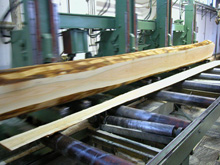 �W�ޙ�ľ��Ԕ��(x��)��B