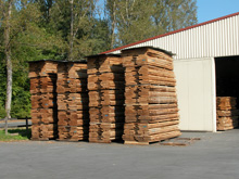 �W�ޙ�ľ��Ԕ��(x��)��B