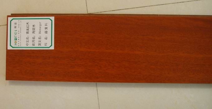 �����tľ��ľ��(f��)�ϵذ��Ԕ����B