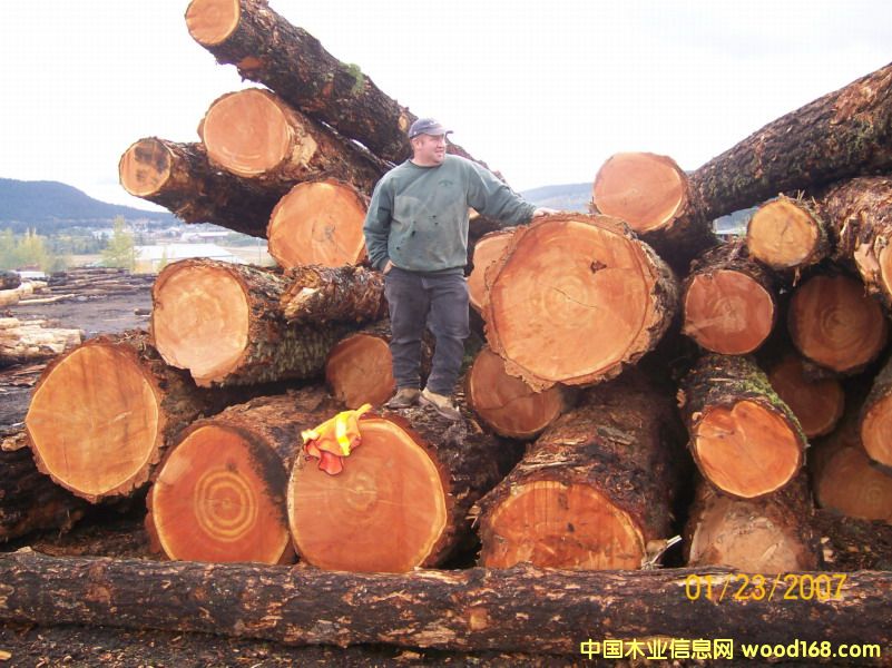 �����ɈDƬ��Ԕ��(x��)��B