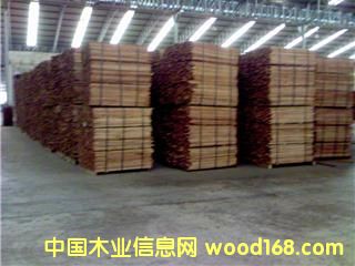 ���zľ��Ԕ����B