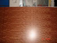 �������Ԕ��(x��)��B