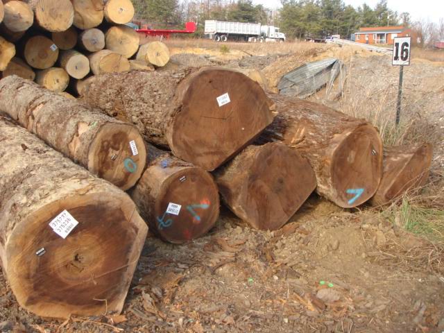 Walnut��Ԕ����B