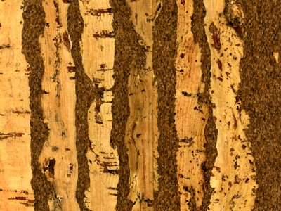 ��̤ܛľ��Ԕ��(x��)��B