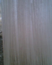 ͩľƴ���Ԕ��(x��)��B