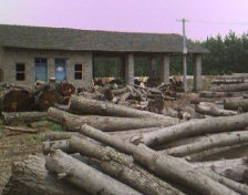 �S����Ԕ��(x��)��B