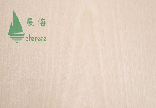 �|���ט��Ԕ����B