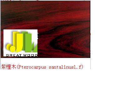 ̴ľ ����̴���t̴����Ԕ��(x��)��B