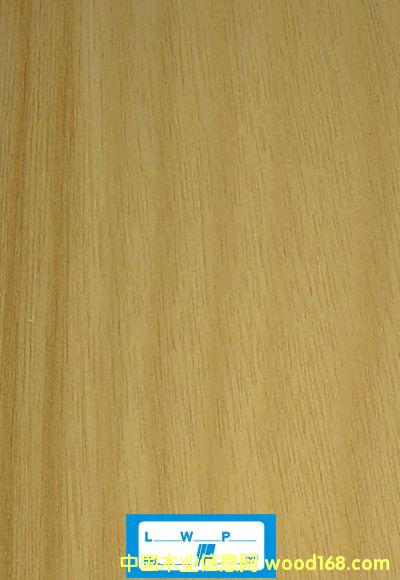 ��z�ֵ�Ԕ����B