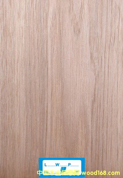 �ľ��Ԕ����B