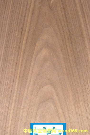 �ں��ҵ�Ԕ����B