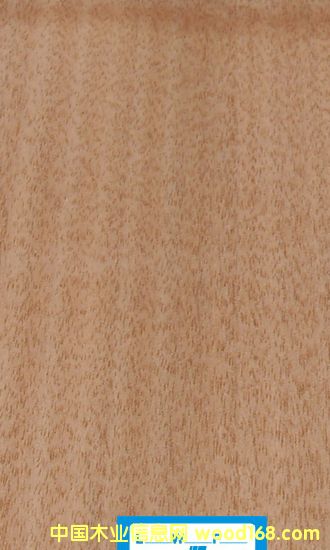 ��(y��u)�|(zh��)ľƤ���t���ҵ�Ԕ����B