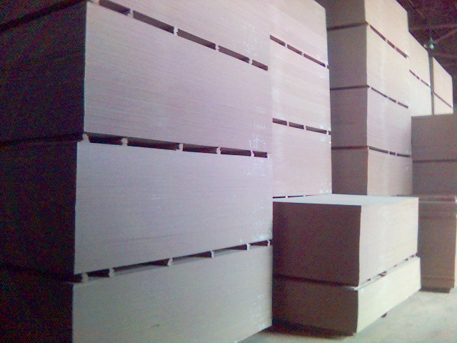 ���ܶ��w�S���Ԕ��(x��)��B